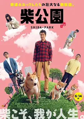 小玩具使用教程