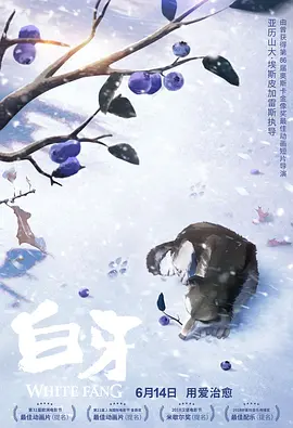 精品久久久噜噜噜久久久app
