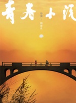 电视剧黑夜与黎明免费播放
