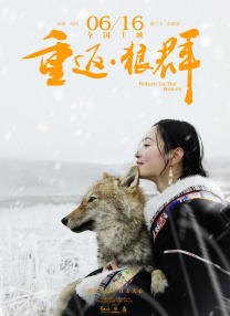 东北少妇av在线播放