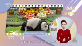 青草青草久热精品视频在线网站